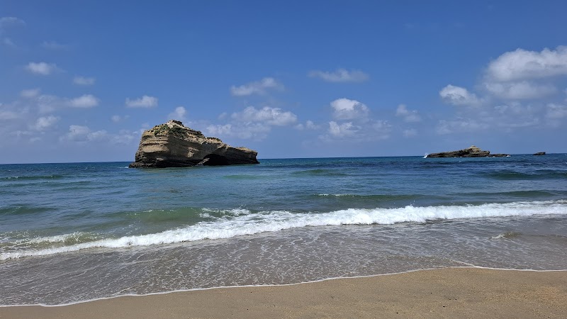 Biarritz Surf Ocean - Biarritz