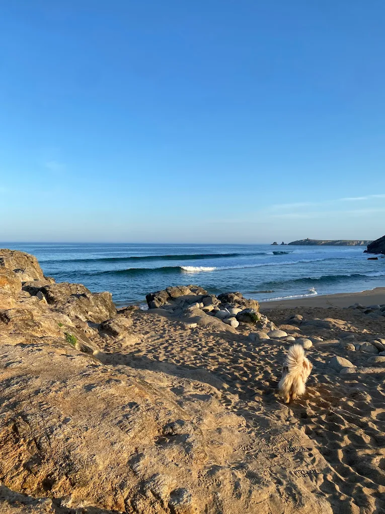 Blue Dream Surf School - Quiberon