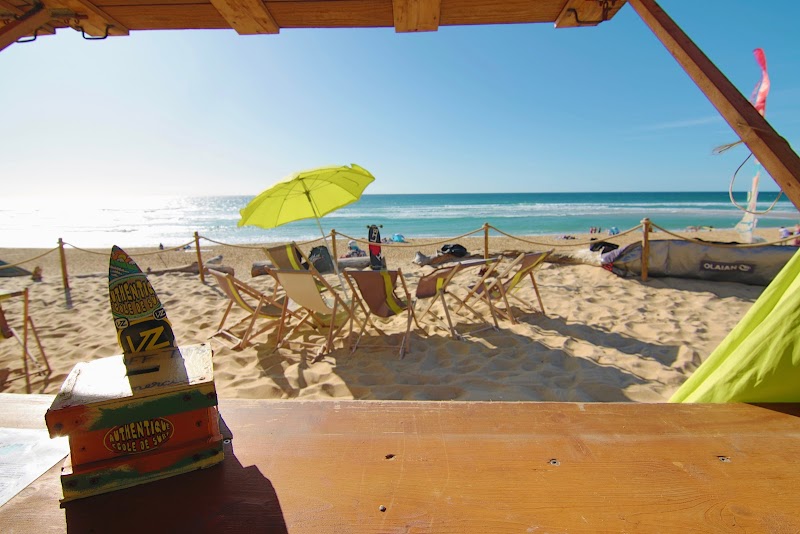 Ecole de Surf Seignose | Authentique ecole de surf - Seignosse