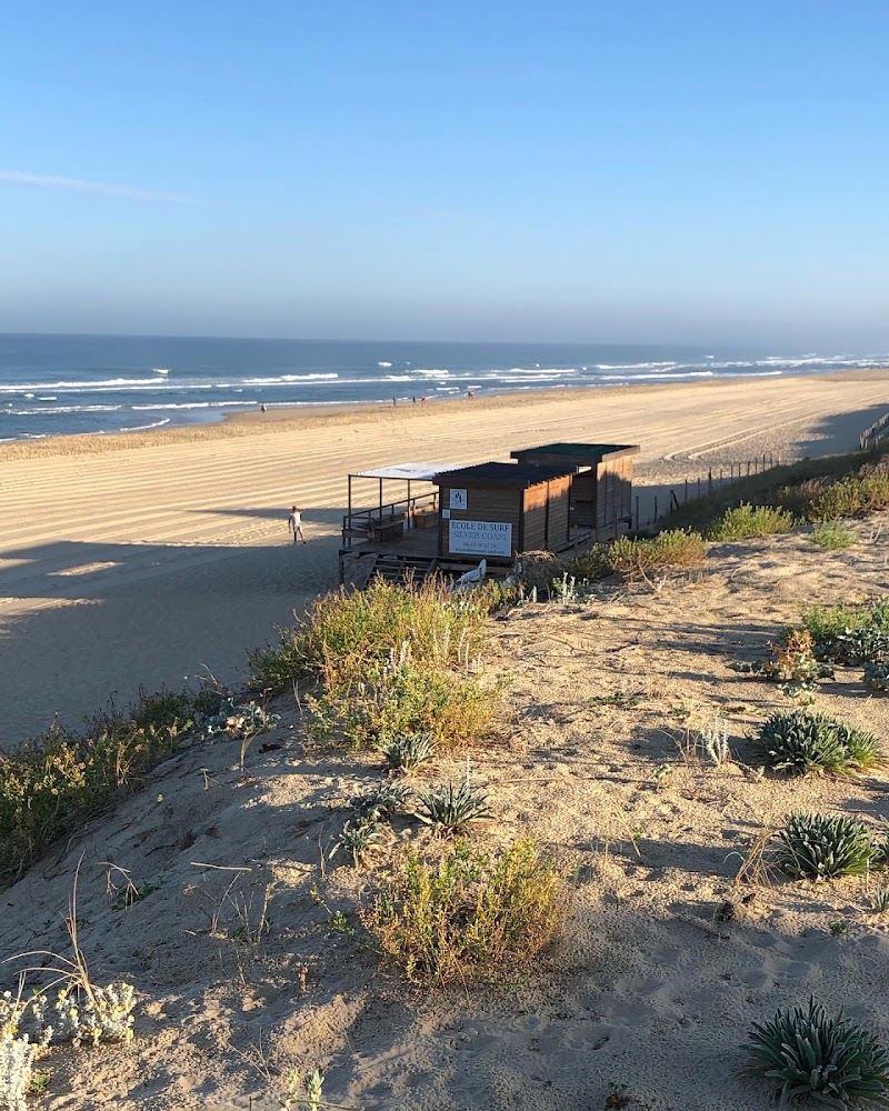 Ecole de Surf Silver Coast Mimizan - Mimizan