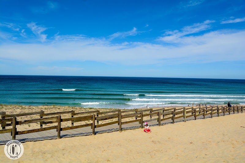 La Dune Surf School - Messanges