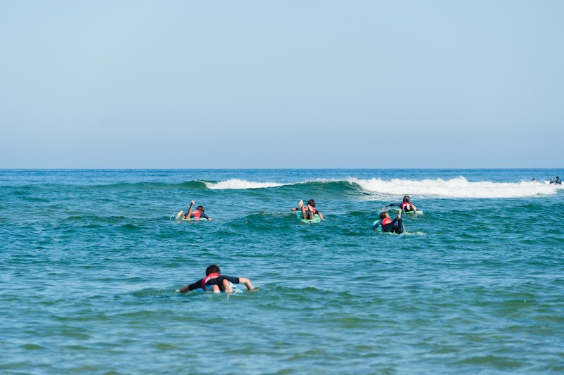 Surf Univers - Vieux-Boucau